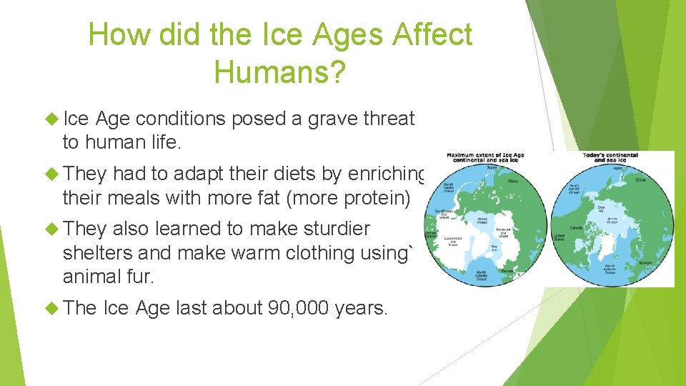 How did the Ice Ages Affect Humans? Ice Age conditions posed a grave threat