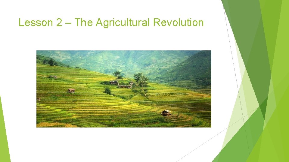 Lesson 2 – The Agricultural Revolution 