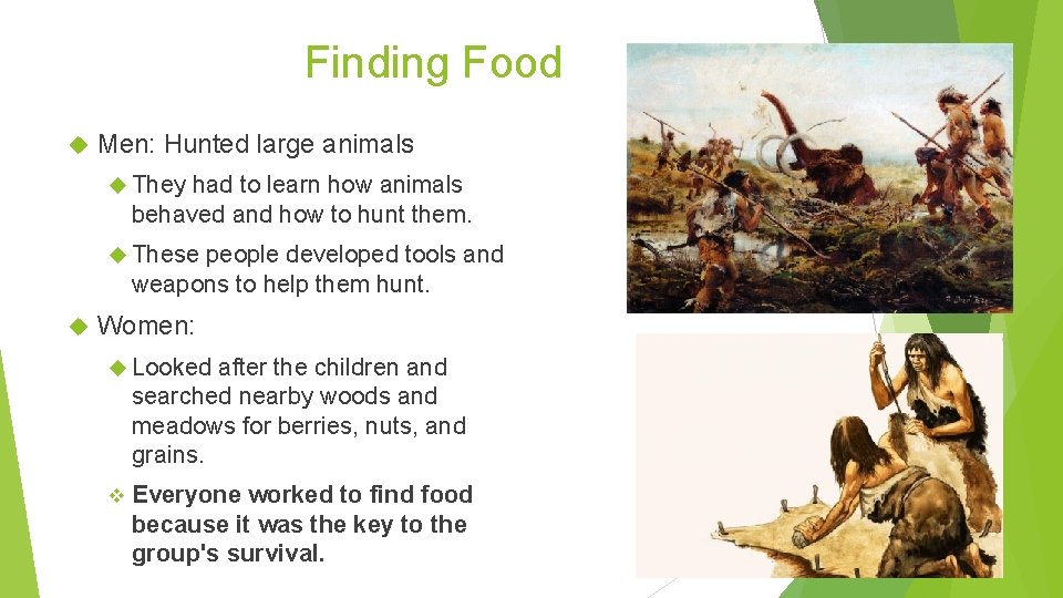 Finding Food Men: Hunted large animals They had to learn how animals behaved and