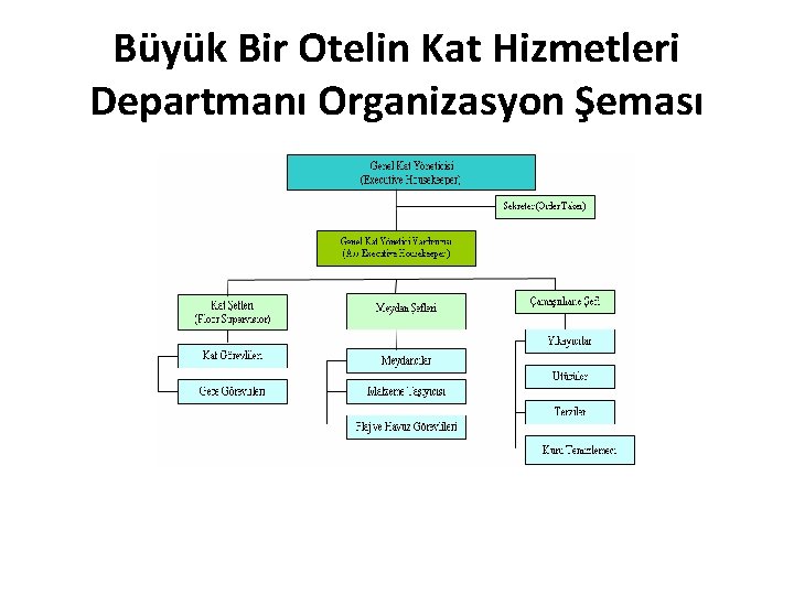Büyük Bir Otelin Kat Hizmetleri Departmanı Organizasyon Şeması 