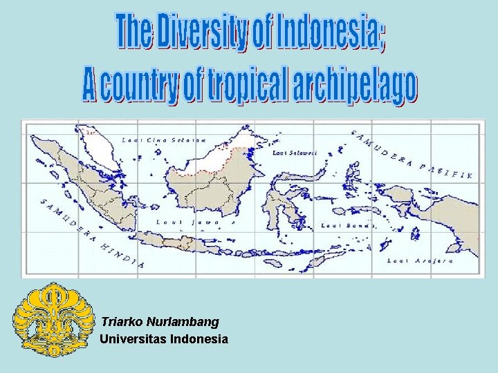 Triarko Nurlambang Universitas Indonesia 