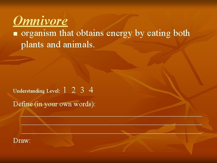 Omnivore n organism that obtains energy by eating both plants and animals. Understanding Level: