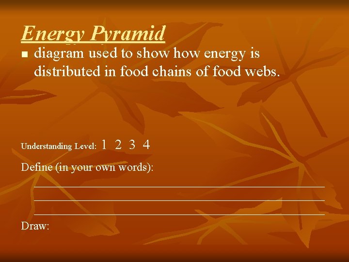 Energy Pyramid n diagram used to show energy is distributed in food chains of