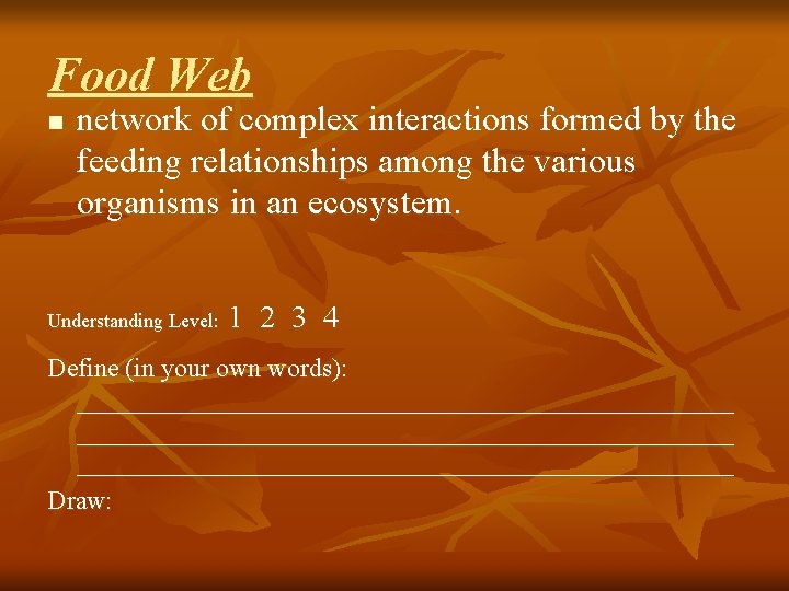 Food Web n network of complex interactions formed by the feeding relationships among the