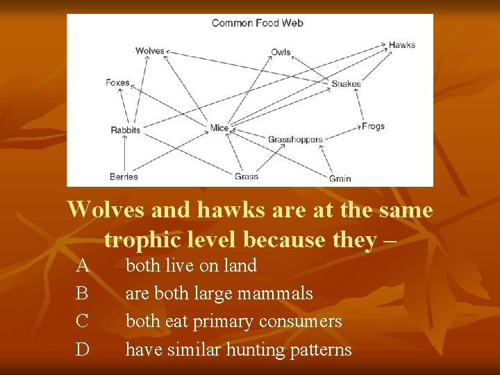 Wolves and hawks are at the same trophic level because they – A B