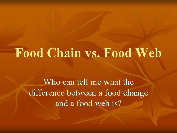 Food Chain vs. Food Web Who can tell me what the difference between a