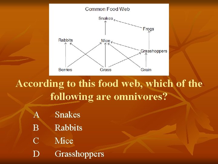 According to this food web, which of the following are omnivores? A B C