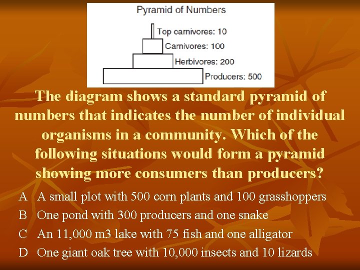 The diagram shows a standard pyramid of numbers that indicates the number of individual
