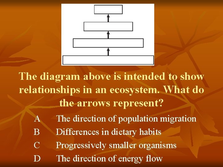 The diagram above is intended to show relationships in an ecosystem. What do the