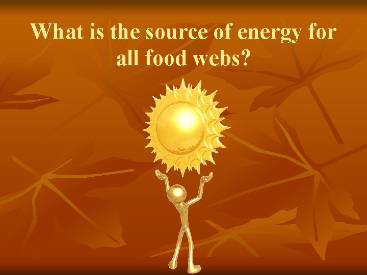 What is the source of energy for all food webs? 