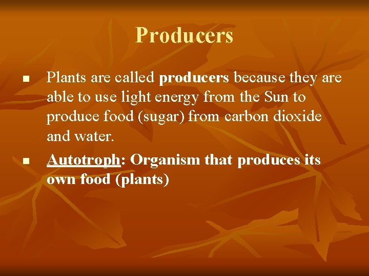 Producers n n Plants are called producers because they are able to use light