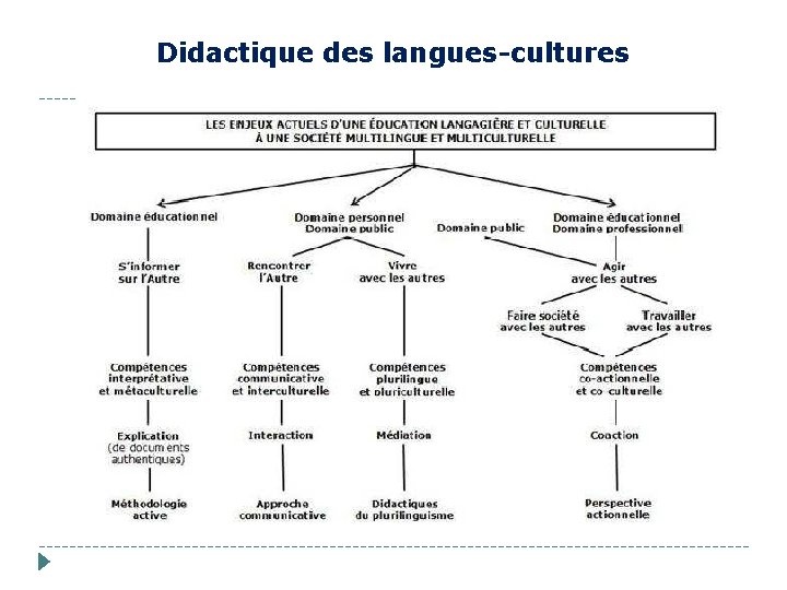 Didactique des langues-cultures 