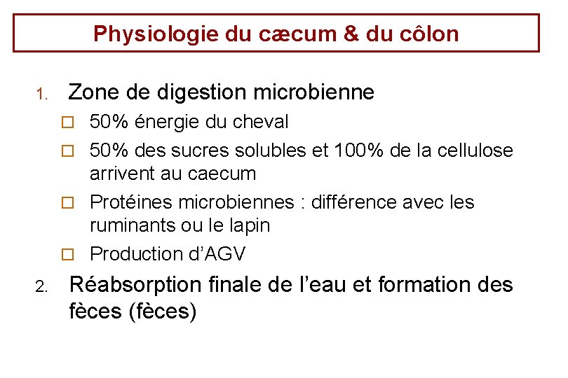 Physiologie du cæcum & du côlon 1. Zone de digestion microbienne 50% énergie du Physiologie du cæcum & du côlon 1. Zone de digestion microbienne 50% énergie du