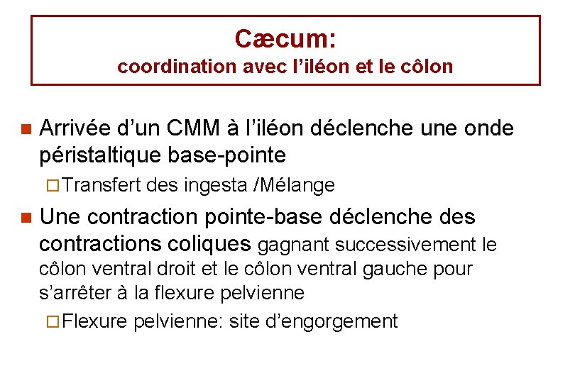 Cæcum: coordination avec l’iléon et le côlon n Arrivée d’un CMM à l’iléon déclenche Cæcum: coordination avec l’iléon et le côlon n Arrivée d’un CMM à l’iléon déclenche
