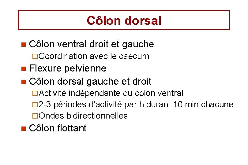 Côlon dorsal n Côlon ventral droit et gauche ¨ Coordination avec le caecum Flexure Côlon dorsal n Côlon ventral droit et gauche ¨ Coordination avec le caecum Flexure