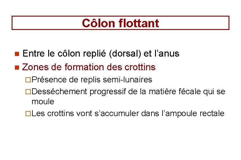 Côlon flottant Entre le côlon replié (dorsal) et l’anus n Zones de formation des Côlon flottant Entre le côlon replié (dorsal) et l’anus n Zones de formation des