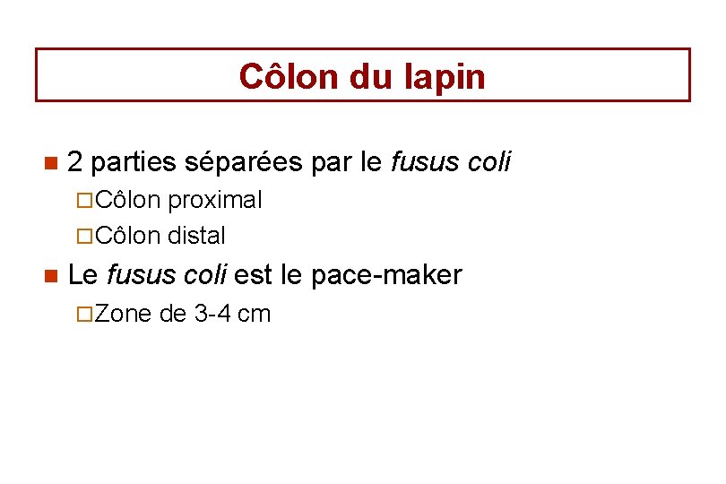 Côlon du lapin n 2 parties séparées par le fusus coli ¨ Côlon proximal Côlon du lapin n 2 parties séparées par le fusus coli ¨ Côlon proximal
