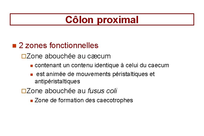 Côlon proximal n 2 zones fonctionnelles ¨ Zone abouchée au cæcum contenant un contenu Côlon proximal n 2 zones fonctionnelles ¨ Zone abouchée au cæcum contenant un contenu