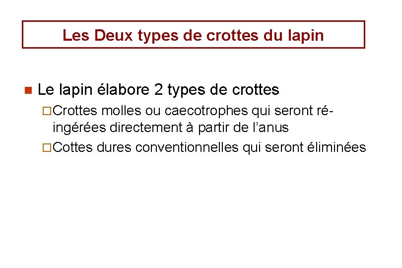 Les Deux types de crottes du lapin n Le lapin élabore 2 types de Les Deux types de crottes du lapin n Le lapin élabore 2 types de