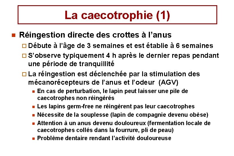 La caecotrophie (1) n Réingestion directe des crottes à l’anus ¨ Débute à l’âge La caecotrophie (1) n Réingestion directe des crottes à l’anus ¨ Débute à l’âge
