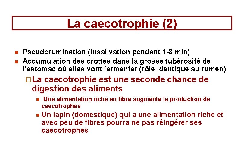 La caecotrophie (2) n n Pseudorumination (insalivation pendant 1 -3 min) Accumulation des crottes La caecotrophie (2) n n Pseudorumination (insalivation pendant 1 -3 min) Accumulation des crottes