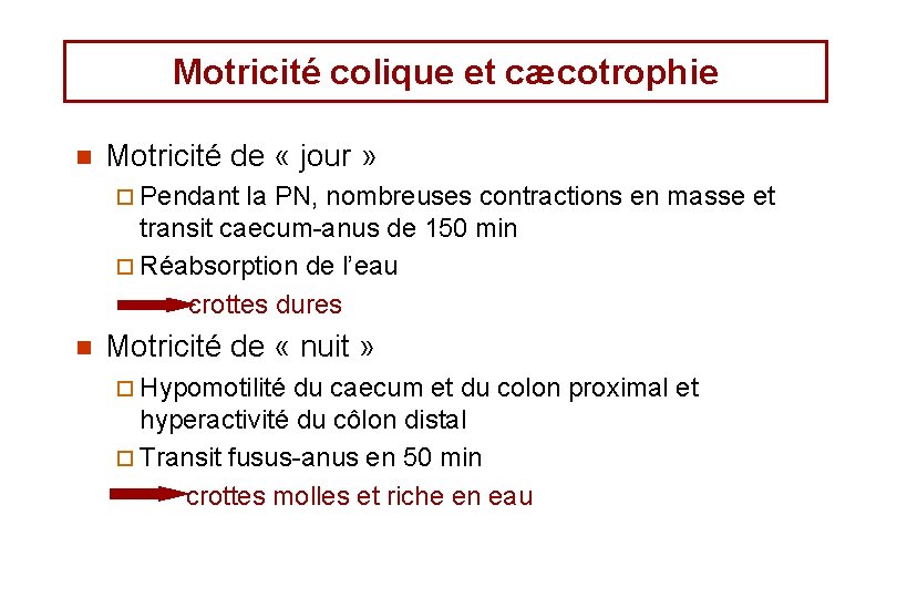 Motricité colique et cæcotrophie n Motricité de « jour » ¨ Pendant la PN, Motricité colique et cæcotrophie n Motricité de « jour » ¨ Pendant la PN,
