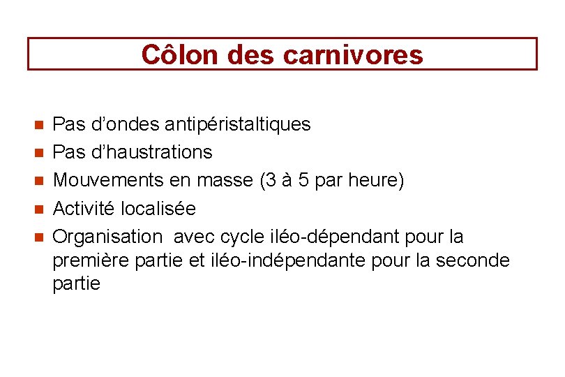 Côlon des carnivores n n n Pas d’ondes antipéristaltiques Pas d’haustrations Mouvements en masse Côlon des carnivores n n n Pas d’ondes antipéristaltiques Pas d’haustrations Mouvements en masse