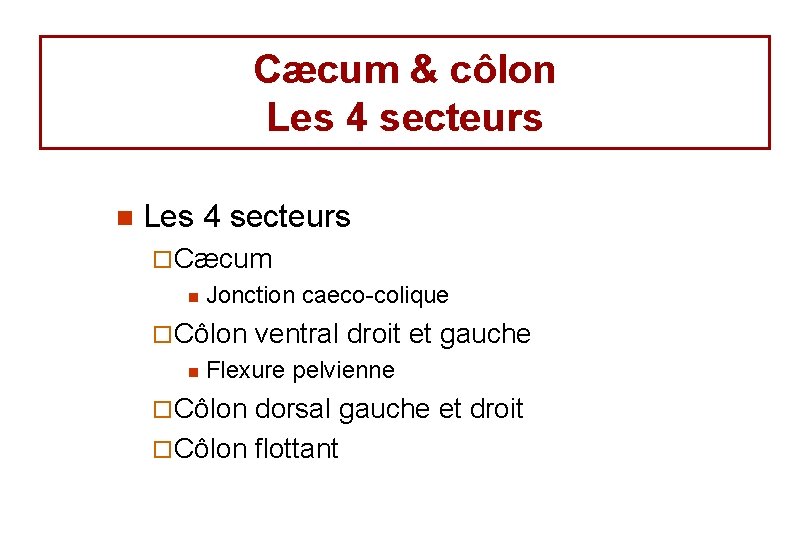 Cæcum & côlon Les 4 secteurs ¨ Cæcum n Jonction caeco-colique ¨ Côlon n Cæcum & côlon Les 4 secteurs ¨ Cæcum n Jonction caeco-colique ¨ Côlon n