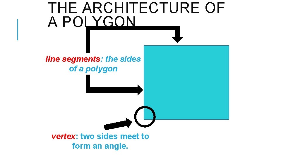 THE ARCHITECTURE OF A POLYGON line segments: the sides of a polygon vertex: two