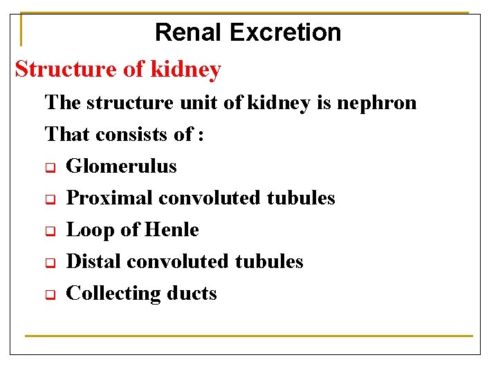 Renal Excretion Structure of kidney The structure unit of kidney is nephron That consists