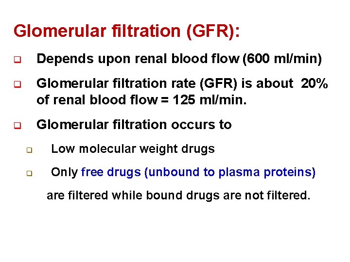 Glomerular filtration (GFR): q Depends upon renal blood flow (600 ml/min) q Glomerular filtration