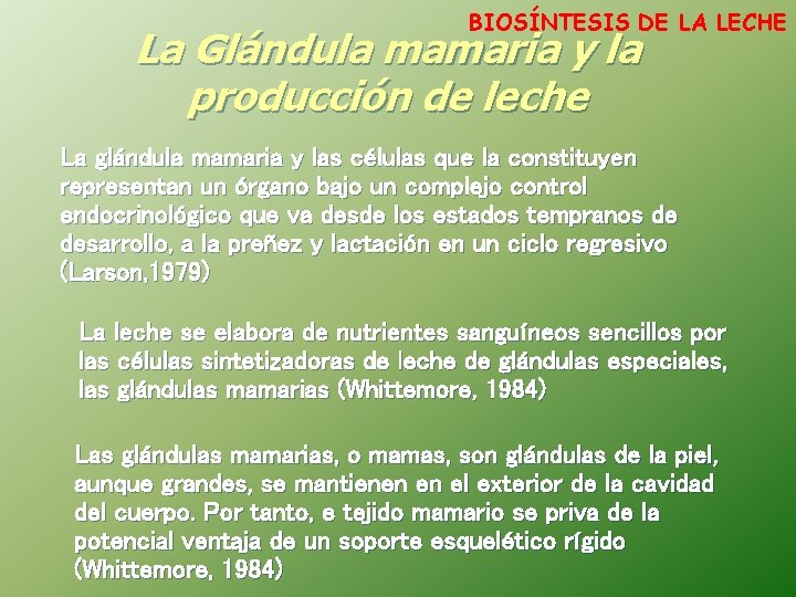 BIOSÍNTESIS DE LA LECHE La Glándula mamaria y la producción de leche La glándula
