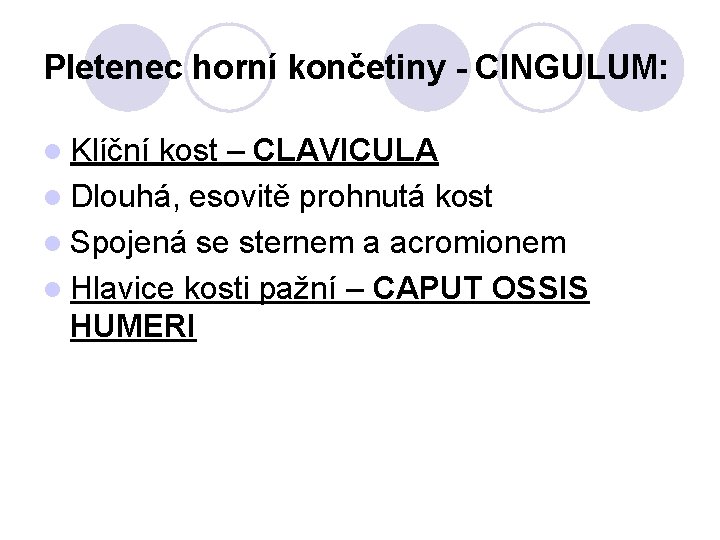 Pletenec horní končetiny - CINGULUM: l Klíční kost – CLAVICULA l Dlouhá, esovitě prohnutá