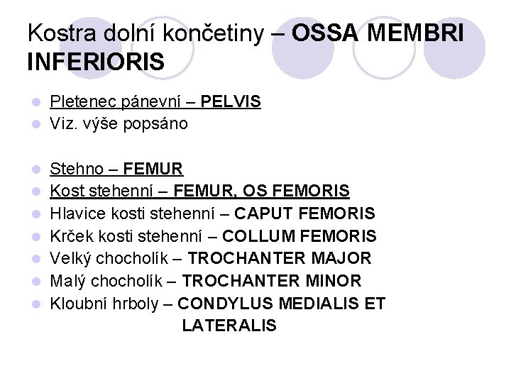 Kostra dolní končetiny – OSSA MEMBRI INFERIORIS Pletenec pánevní – PELVIS l Viz. výše