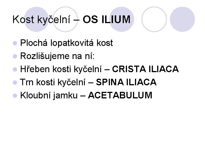 Kost kyčelní – OS ILIUM l Plochá lopatkovitá kost l Rozlišujeme na ní: l