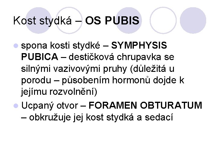 Kost stydká – OS PUBIS l spona kosti stydké – SYMPHYSIS PUBICA – destičková