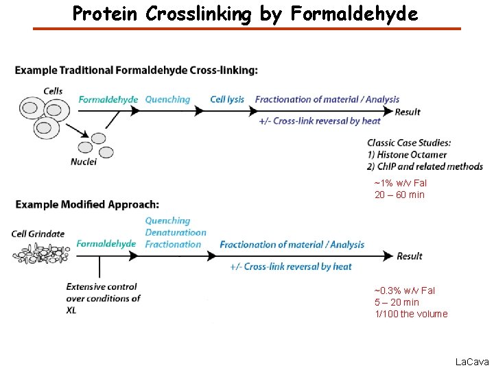 Protein Crosslinking by Formaldehyde ~1% w/v Fal 20 – 60 min ~0. 3% w/v