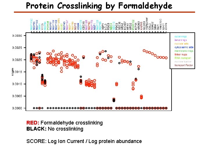 Protein Crosslinking by Formaldehyde RED: Formaldehyde crosslinking BLACK: No crosslinking SCORE: Log Ion Current