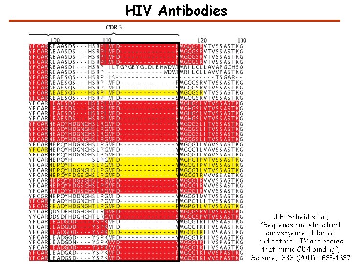 HIV Antibodies J. F. Scheid et al, “Sequence and structural convergence of broad and