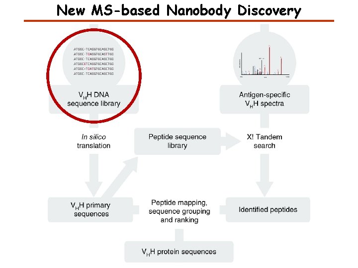 New MS-based Nanobody Discovery 