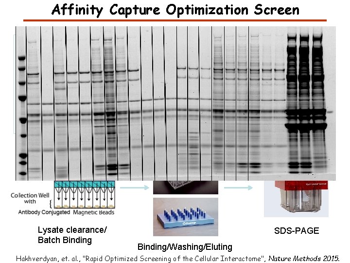 Affinity Capture Optimization Screen Cell extraction More / better quality interactions + Filtration Lysate