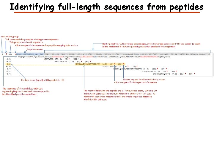 Identifying full-length sequences from peptides 