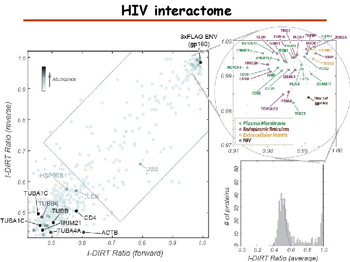 HIV interactome 