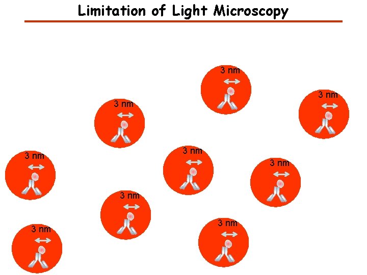 Limitation of Light Microscopy 3 nm 3 nm 3 nm 