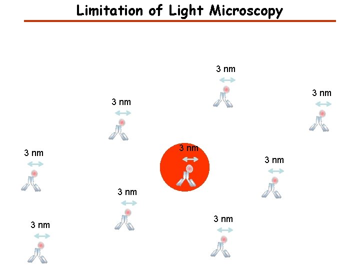 Limitation of Light Microscopy 3 nm 3 nm 3 nm 