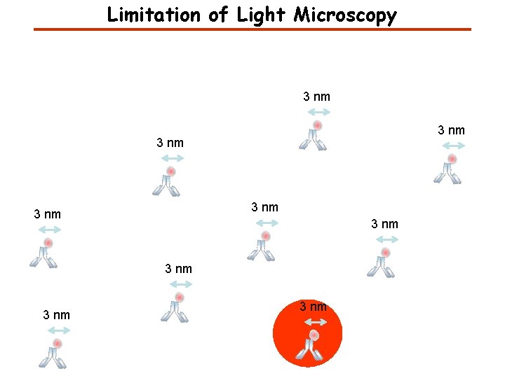 Limitation of Light Microscopy 3 nm 3 nm 3 nm 