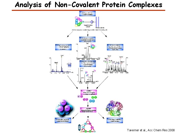 Analysis of Non-Covalent Protein Complexes Taverner et al. , Acc Chem Res 2008 