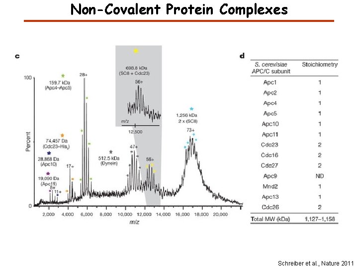 Non-Covalent Protein Complexes Schreiber et al. , Nature 2011 