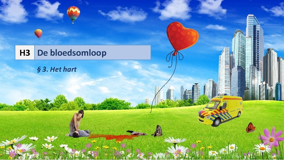 H 3 De bloedsomloop § 3. Het hart 