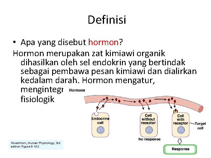  Definisi • Apa yang disebut hormon? Hormon merupakan zat kimiawi organik dihasilkan oleh